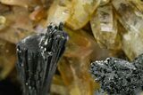 Black Tourmaline (Schorl) Crystal Cluster with Quartz - Namibia #363672-1